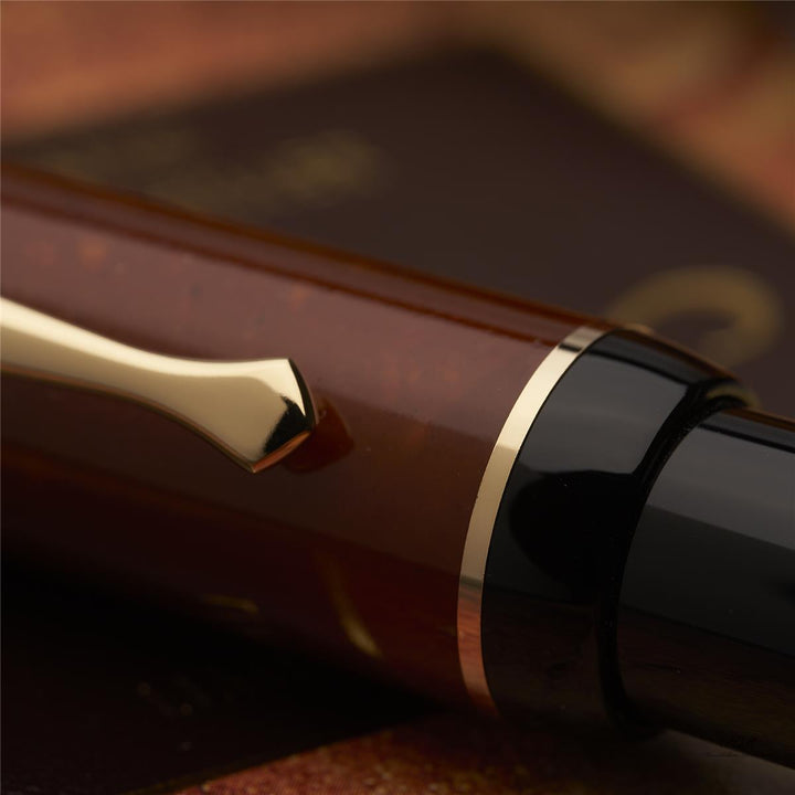 Montblanc Writers Edition of 2000 Friedrich Schiller fountain pen ID 28662 with original packaging