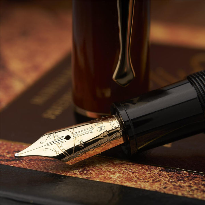 Montblanc Writers Edition of 2000 Friedrich Schiller fountain pen ID 28662 with original packaging