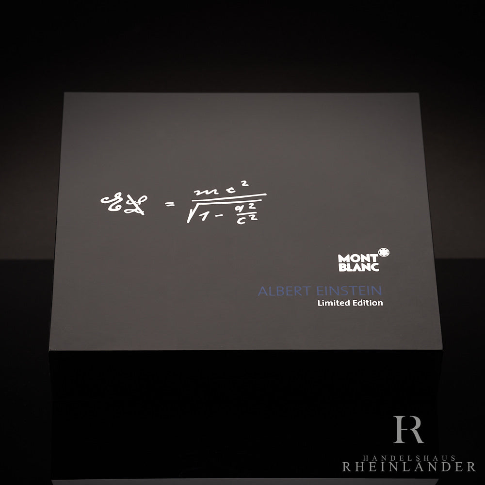 Montblanc Great Characters 2013 Limited Edition Albert Einstein fountain pen ID107472