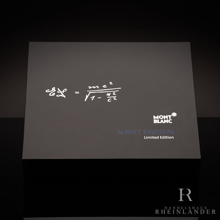 Montblanc Great Characters 2013 Limited Edition Albert Einstein fountain pen ID107472